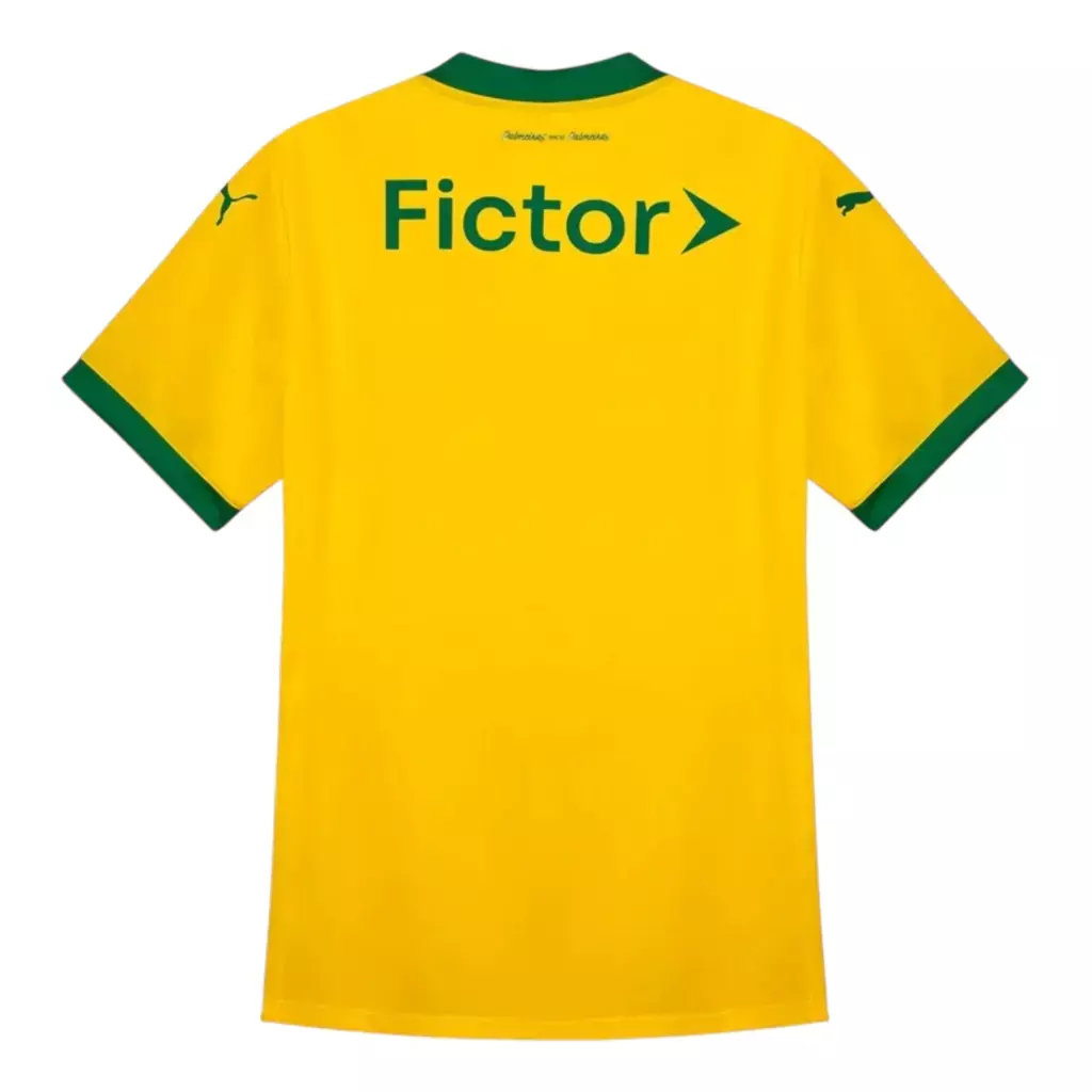 Camisa Palmeiras Third 25/26