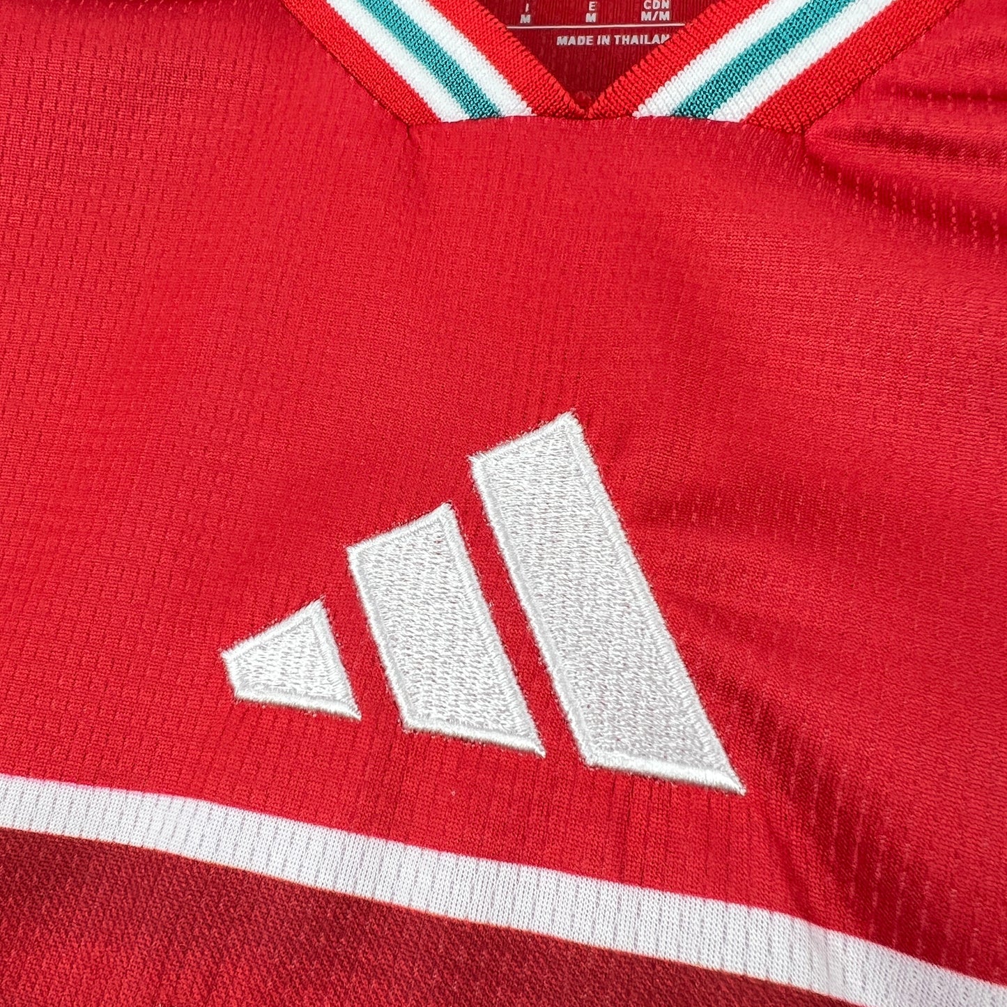 CAMISA PAÍS DE GALES I 26/27 COPA DO MUNDO 2026 - MASCULINO