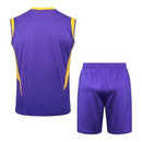 Kit Treino adulto - Camisa e Shorts - Real Madrid Adidas 24/25 - Roxo com detalhes em amarelo