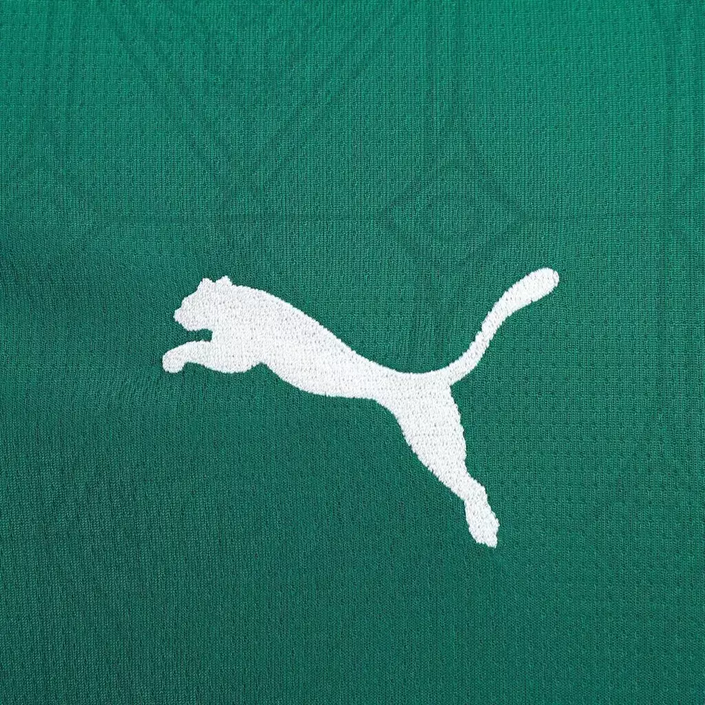 Camisa Palmeiras home 25/26