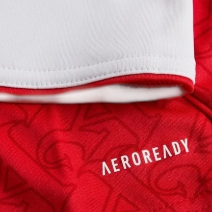 Camisa Arsenal I 25/26 manga longa - Torcedor Adidas Masculina - Vermelha e branca