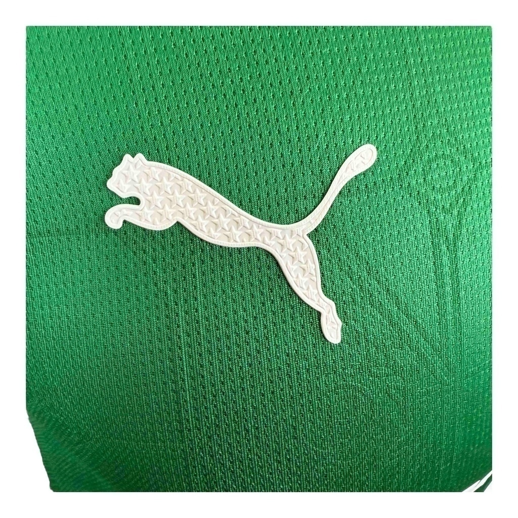 Camisa Palmeiras I 25/26 - Jogador Puma Masculina - Verde