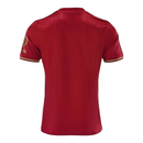 Camisa Bayern de Munique Edição especial Aniversário 125 anos 25/26 - Torcedor Adidas Masculina - Vinho com detalhes em dourado